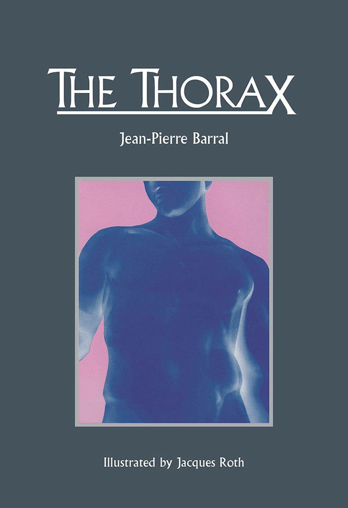 The Thorax