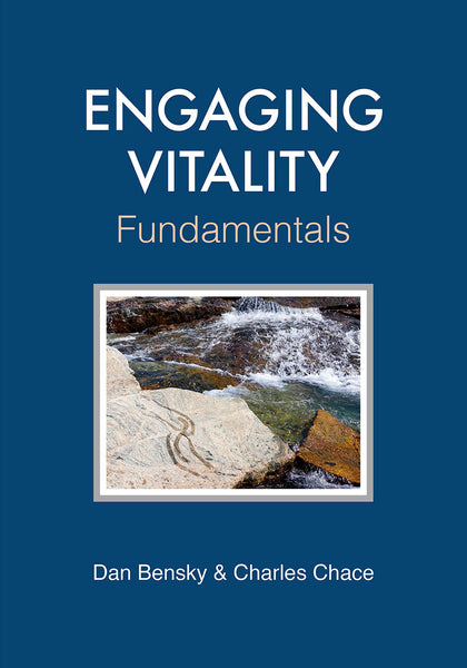 Engaging Vitality - Fundamentals